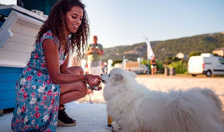 Monty’s Dog Beach & Bar - Plaža za pse 6